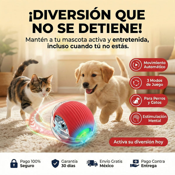 Pelota para mascotas