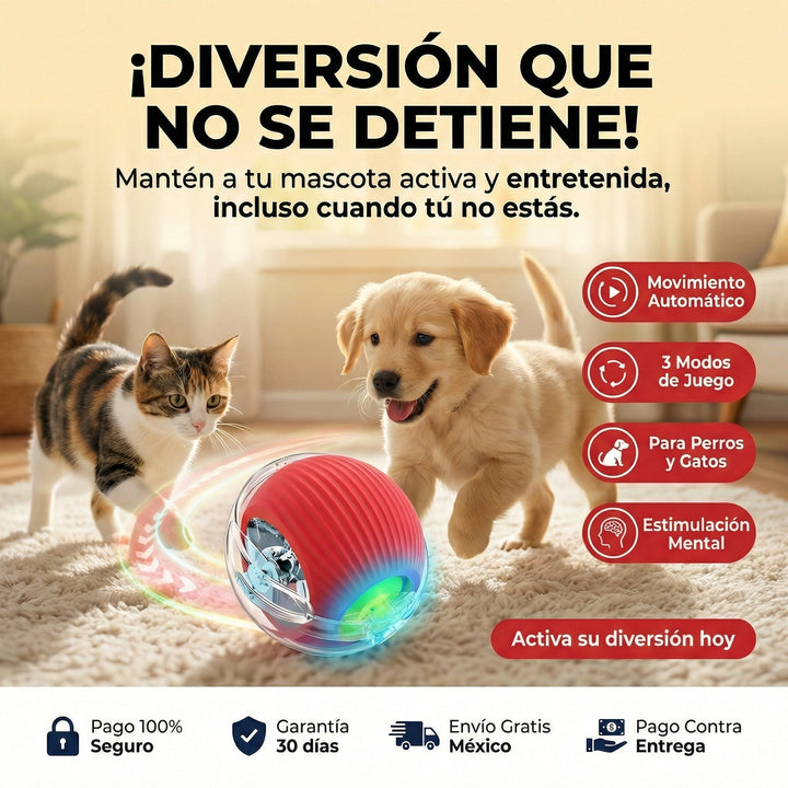 Pelota para mascotas